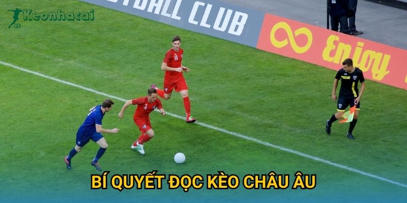 Bí quyết đọc kèo châu Âu Keonhacai – Hướng dẫn chi tiết cho người mới 3 Bí quyết đọc kèo châu Âu Keonhacai – Hướng dẫn chi tiết cho người mới