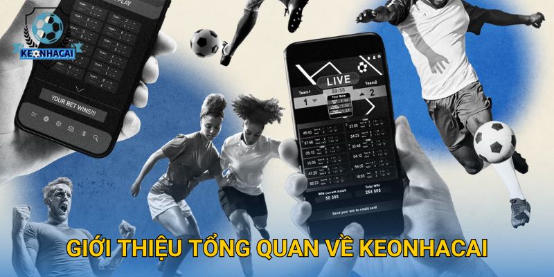 Trang chủ 539 Giới thiệu tổng quan về Keonhacai